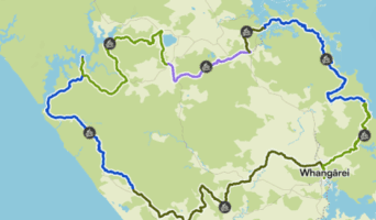 Heart of the Octopus